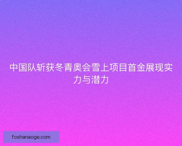 中国队斩获冬青奥会雪上项目首金展现实力与潜力